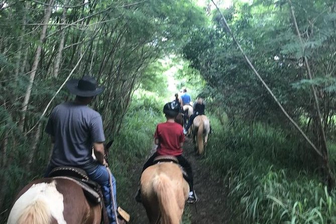 West Maui Mountain Waterfall and Ocean Tour via Horseback - The optional trot, canter, or gallop