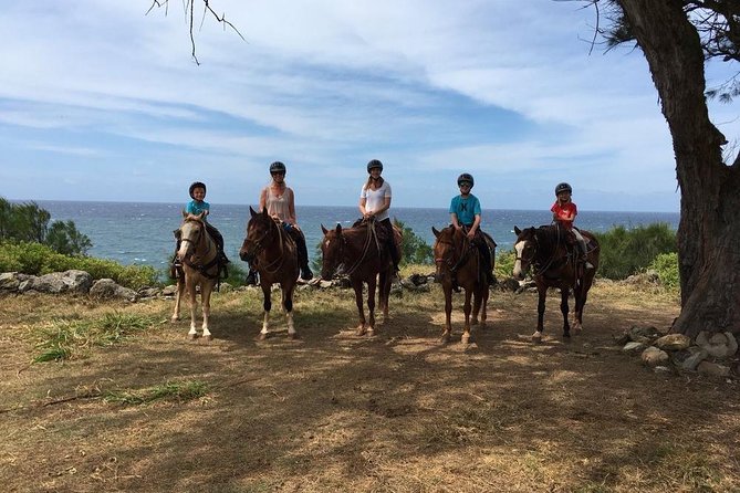 West Maui Mountain Waterfall and Ocean Tour via Horseback - How difficult is this Maui horseback ride?