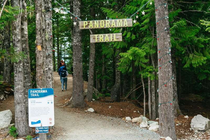 Whistler, Sea to Sky Gondola, and Shannon Falls Day Trip - Timing, pickup, and practical advice