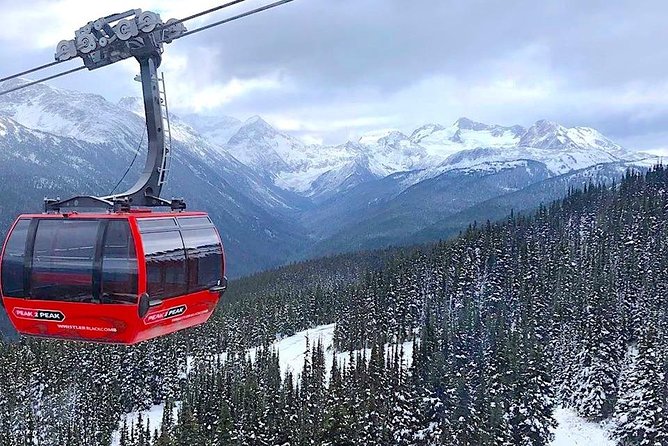 Whistler Sightseeing Tour from Vancouver: See Horseshoe Bay and Shannon Falls - Stanley Park and the Lions Gate Bridge