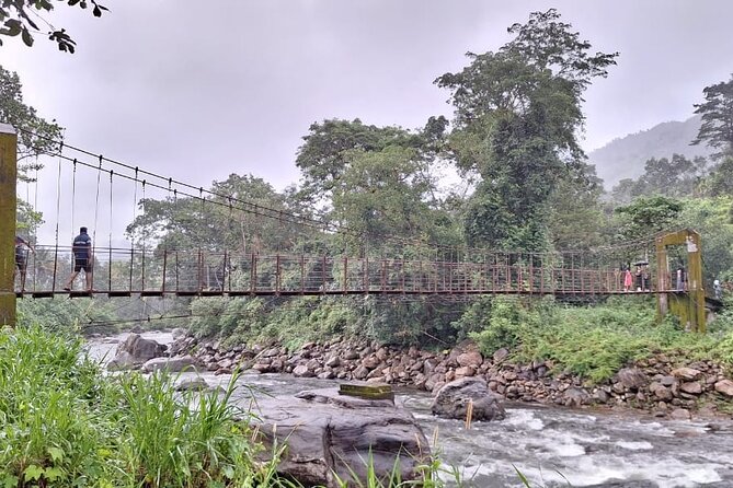 Wild Elephant Anakulam & Waterfalls Tour(munnar valley Trekking) - Why Anakulam makes this Munnar day different