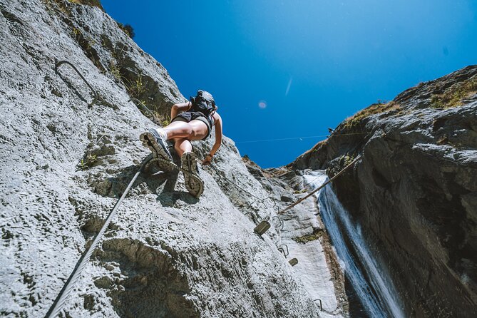 Wildwire Wanaka- Level 2 (4 Hours) - What makes the Level 2 climb special