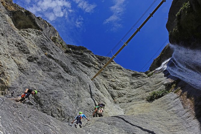 Wildwire Wanaka- Level 2 (4 Hours) - Steel ladders, narrow bridges, and bigger views