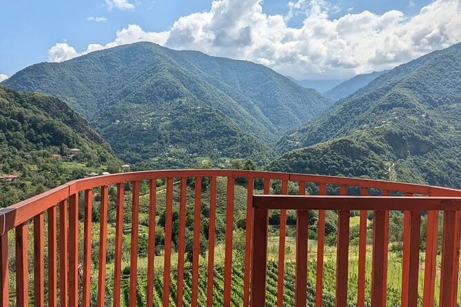 Wine and Dine Tour To Batumi Waterfalls - Mountainous Adjara - What $42 really covers
