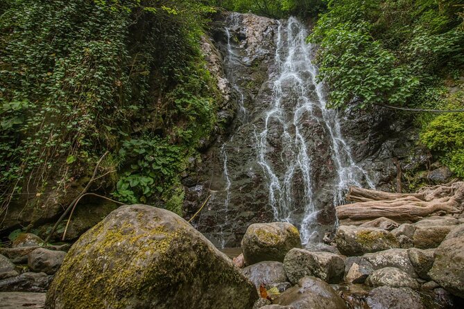 Wine and Dine Tour To Batumi Waterfalls - Mountainous Adjara - How long the day actually feels