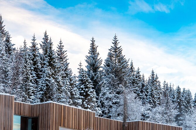Winter Combo Godafoss Christmas House and The Forest Lagoon - Group size, pickup, and physical demands