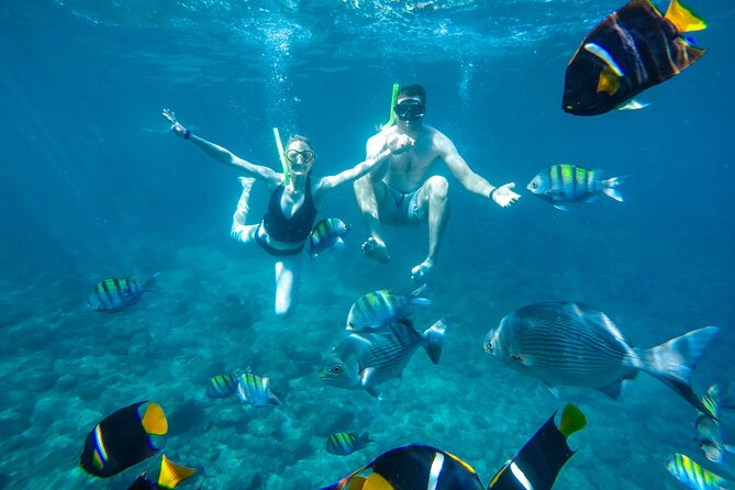 Yelapa Waterfall, BBQ at Exclusive Majahuitas Beach & Open bar - Who will enjoy this outing most
