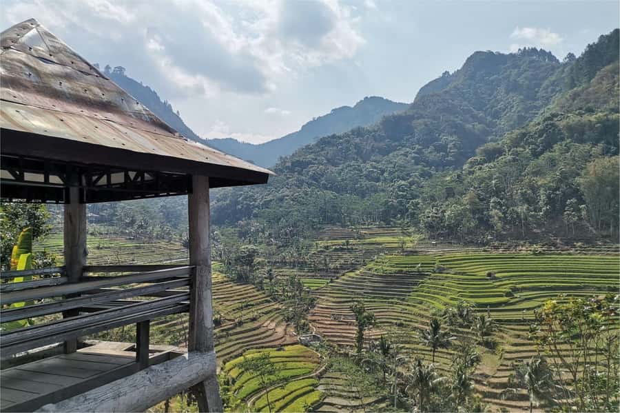 Yogyakarta: Selogriyo Temple, Rice Terraces & Waterfall Tour - Leaving Yogyakarta for Java’s farming country