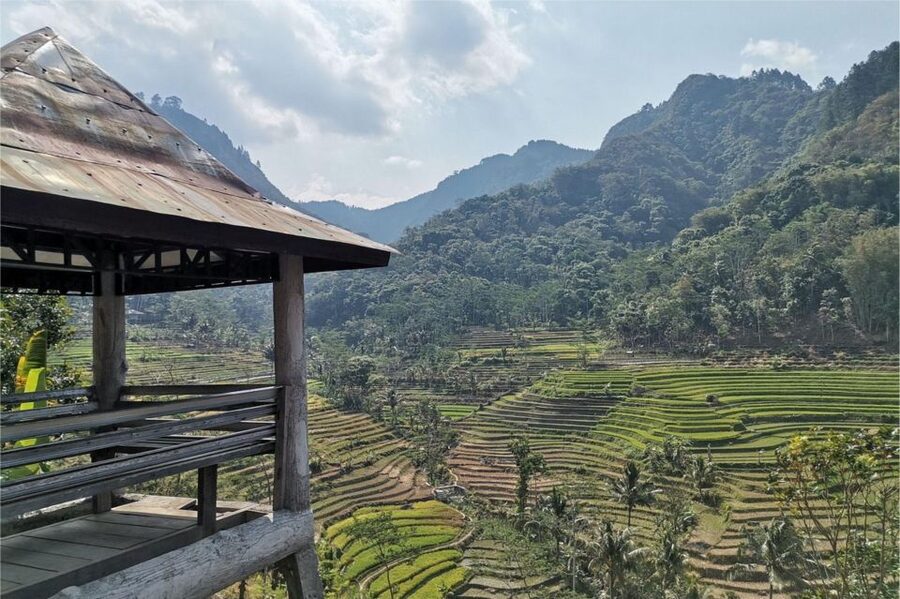 Yogyakarta: Selogriyo Temple, Rice Terraces & Waterfall Tour - Practical preparation for a better day