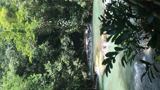 YS Falls Private Full-Day Adventure Tour with Pickup - Adding the canopy ride from top to bottom